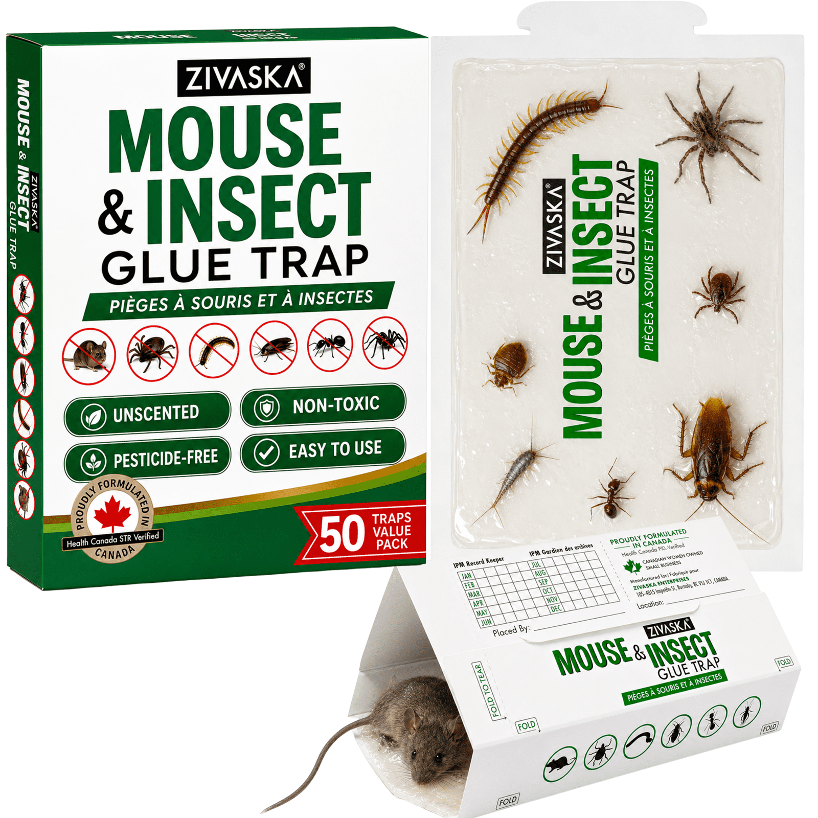 Pièges Adhésifs pour Souris, Pièges Anti-Punaises de Lit, Pièges pour Souris, Pièges à Colle pour Insectes – Piège à Souris, Pliables, Planches de Colle Extra Collantes, Non Toxiques, pour Souris, Cafards, Araignées, Insectes Rampants