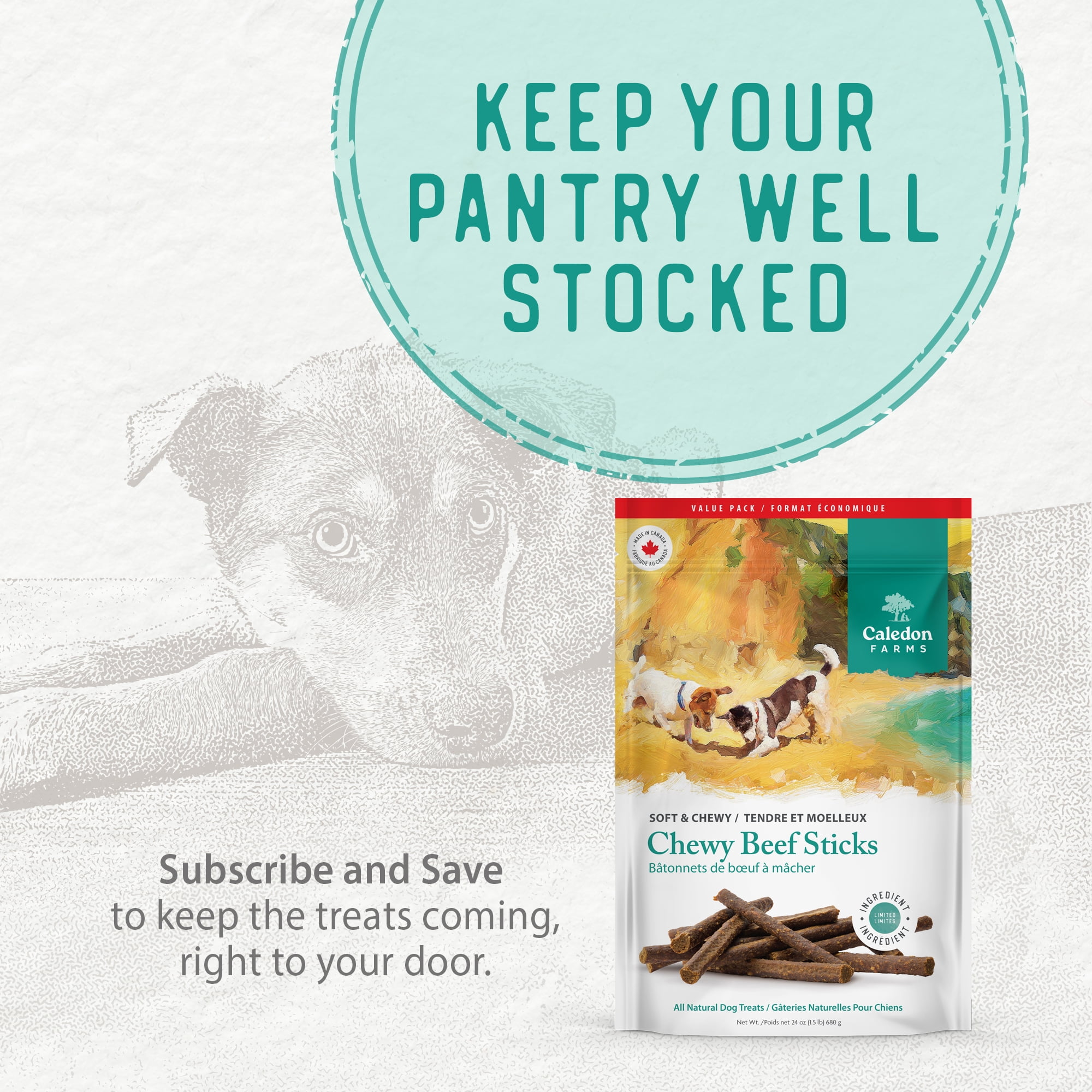 Caledon Farms Chewy Beef Sticks Baked Dog Treats 220g