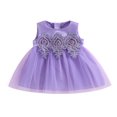 thumbnail image 1 of Robe de Princesse Sans Manches en Dentelle Perlée pour Bébé Fille, 1 of 9