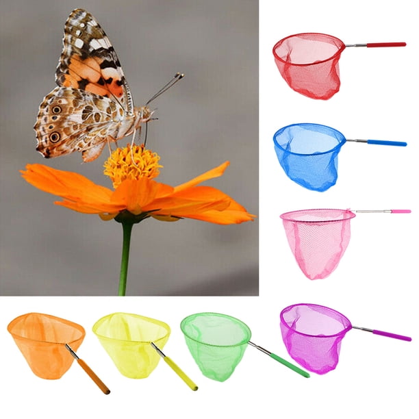 Acheter Filet à papillons télescopique extensible pour enfants, jouet pour attraper des insectes, des insectes, des poissons, cadeau Acheter Filet à papillons télescopique extensible pour enfants, jouet pour attraper des insectes, des insectes, des poissons, cadeau