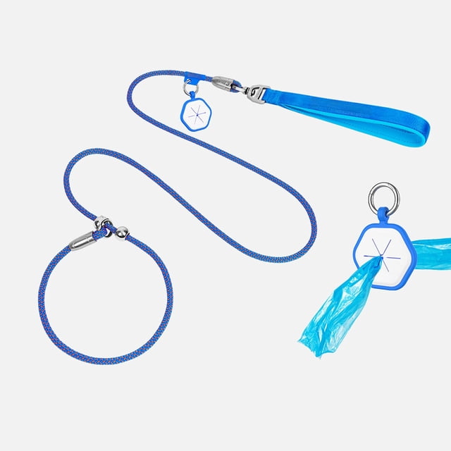 Dog Training Leash With P Ring Control (Reflective Pet For Obedience) Light up Dog Wet Dog Food for Large Dogs Cat Breakaway Small Dog Soft Organic Cat Tie Dog Food Small Breed Soft Cat Collate Cat