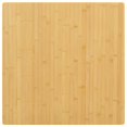 thumbnail image 1 of vidaXL Table Top 80x80x2.5 cm Bamboo, 1 of 3