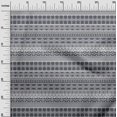 thumbnail image 2 of oneOone Silk Tabby Gray Fabric Aztec Tribal Sewing Material Print Fabric By The Yard 42 Inch Wide, 2 of 4