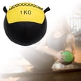 thumbnail image 4 of pitrice 30cm Fitness Wall Ball Weighted Core Training Strength Home Workout, 4 of 6