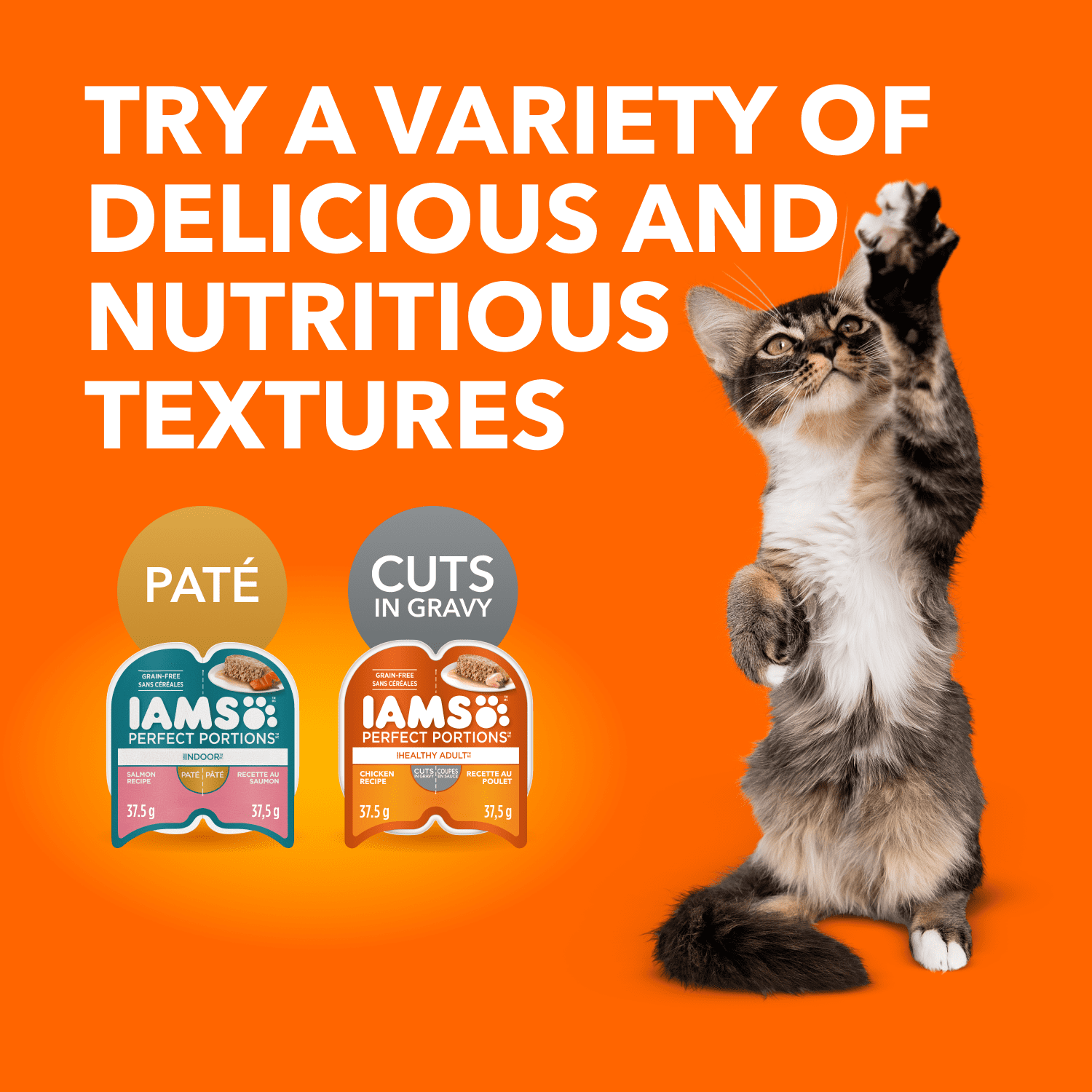 Iams Perfect Portions Sans Grains Coupes de Poulet en Sauce & Pâté au Saumon d'Intérieur Assortiment Adulte en Santé Nourriture Humide pour Chat Lot de 24