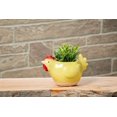thumbnail image 4 of Abbott Collection AB-27-CRITTER-538 5 in. Ceramic Chicken Planter, Yellow - Small, 4 of 4