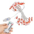 thumbnail image 4 of String Lights, Warm White 3 Meter 20 LEDs Waterproof Fairy String Lights  For Garden, 4 of 8