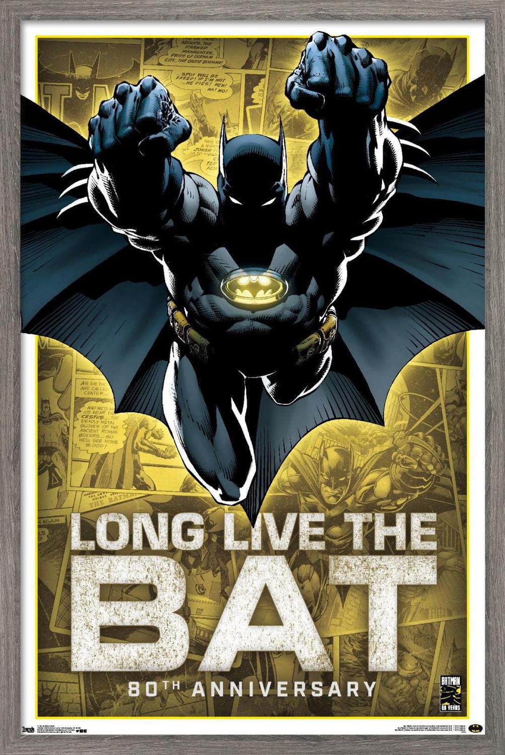 DC Comics - Batman - 80e anniversaire