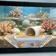 Yannianjz Aquarium Cave Tunnel, Two Hole Fish Viewing Decoration, Hiding Place for Shrimp, Aquascaping Decor for Tank, Fish Hideout, Betta Cave