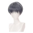 thumbnail image 1 of RYGRZJ Cosplay Perruque pour Hommes, Cheveux Courts, Perruque Cosplay Hommes Femmes Cheveux Courts Lisses Offre, 1 of 4