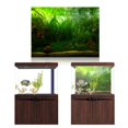 thumbnail image 1 of Rdeghly Water Grass Style Aquarium Fish Tank Background Poster PVC Adhesive Decor Paper, Fish Tank Background Paper, Fish Tank Decoration Poster, 1 of 8