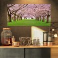 thumbnail image 1 of Stunning Cherry Blossoms Plenitude - Landscape Canvas Art Print, 1 of 3