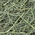 thumbnail image 2 of OxBow Orchard Grass Small Animal Food, 144oz / 9lb, 2 of 7