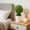 Green, variant on Artificial Potted Plants Money Tree Grass Ball Bonsai Home Decor Floral Ornaments Creatives Mini Round Ball Devise Suitable For Indoor Tabletop Decoration