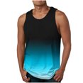 thumbnail image 1 of IROINID Hommes Chemises Sans Manches, Hommes Casual Mode Gradation Impression Pull Sans Manches Col Rond Débardeurs de Sport, 1 of 4