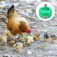 thumbnail image 4 of AMERTEER Case Pack Chicken Farming Heat Lamp Heater Fan Heat Lamp Heating Transmitter (Green), 4 of 7