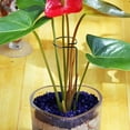 thumbnail image 4 of YoGold Climbing Frame 40cm Iron Spiral Tomato Plant Support Stakes 10Pcs, 4 of 9