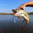 thumbnail image 3 of Swimbaits Matériel de Pêche Leurre en Plastique Souple Apparence Réaliste pour Pêche en Étang Extérieur, 3 of 8