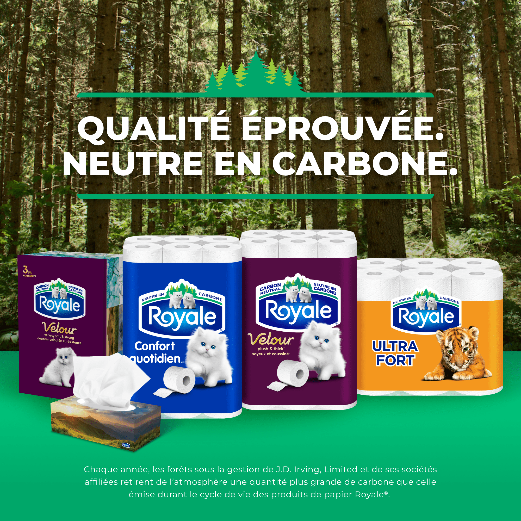 Royale Papier Hygiénique Velour, 24 équivalant à 48 rouleaux