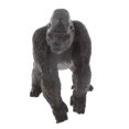 thumbnail image 2 of Animal Figures Toy Set - Mini Educational Jungle Toddlers Farm Small Animals -Gorilla, 2 of 6