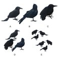 thumbnail image 3 of Shengyu Simulation Crow Animal Model - Halloween Party Decoration With Festive Ambiance Crooked crow 1Set, 3 of 6