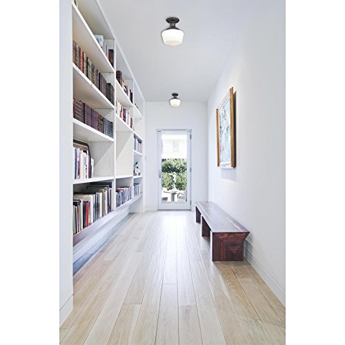 Westinghouse Lighting Plafonnier semi-encastré à une lumière Scholar
