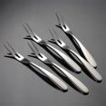 thumbnail image 2 of Shengyu Fruit Fork Stainless Steel Cake Candy Dessert Forks Party Tableware Solid Toothpicks Bento Box Accessories Type 1 Type 3, 2 of 6