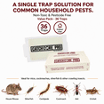 thumbnail image 2 of Coremaster Catchcore PRO Mouse and Insect Glue Traps 36 Pack, 2 of 7