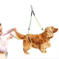 thumbnail image 4 of Harnais de Toilettage en Mousse de Coton, Laisse de Toilettage pour Animaux de Compagnie, Crochet à Ressort Portable pour Chien pour Table de Toilettage pour Animaux de Compagnie, 4 of 7