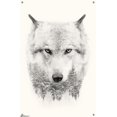 thumbnail image 4 of Wolf - Trees Wall Poster, 22.375" x 34", 4 of 4
