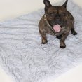 thumbnail image 2 of Maytalsory Easy To Clean Fluffy Puppy Blanket For Easy Maintenance Soft Warm Fluffy Pet Blanket Various Sizes dark grey M 1Set, 2 of 6