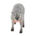 thumbnail image 1 of Simulation Animals Model Figure Kids Educational Animal Toy Animal Animal Figure Toys Kids Toy Decor Babirusa, 1 of 6