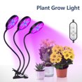 thumbnail image 3 of Graflsoa Lampe de Croissance pour Plantes à Pince USB Réglable 15 W avec Spectre Rouge/bleu, 5 Niveaux de Luminosité et 3 Modes, Flexible à 360°, Homologuée IP66, Durée de Vie de 30 000 H, 3 of 6