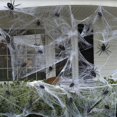 thumbnail image 1 of WHEANG Pack Of 10 20 50 100 Realistic Halloween Decorations For Home Parties Scary Props Multipurpose Decors, 1 of 5