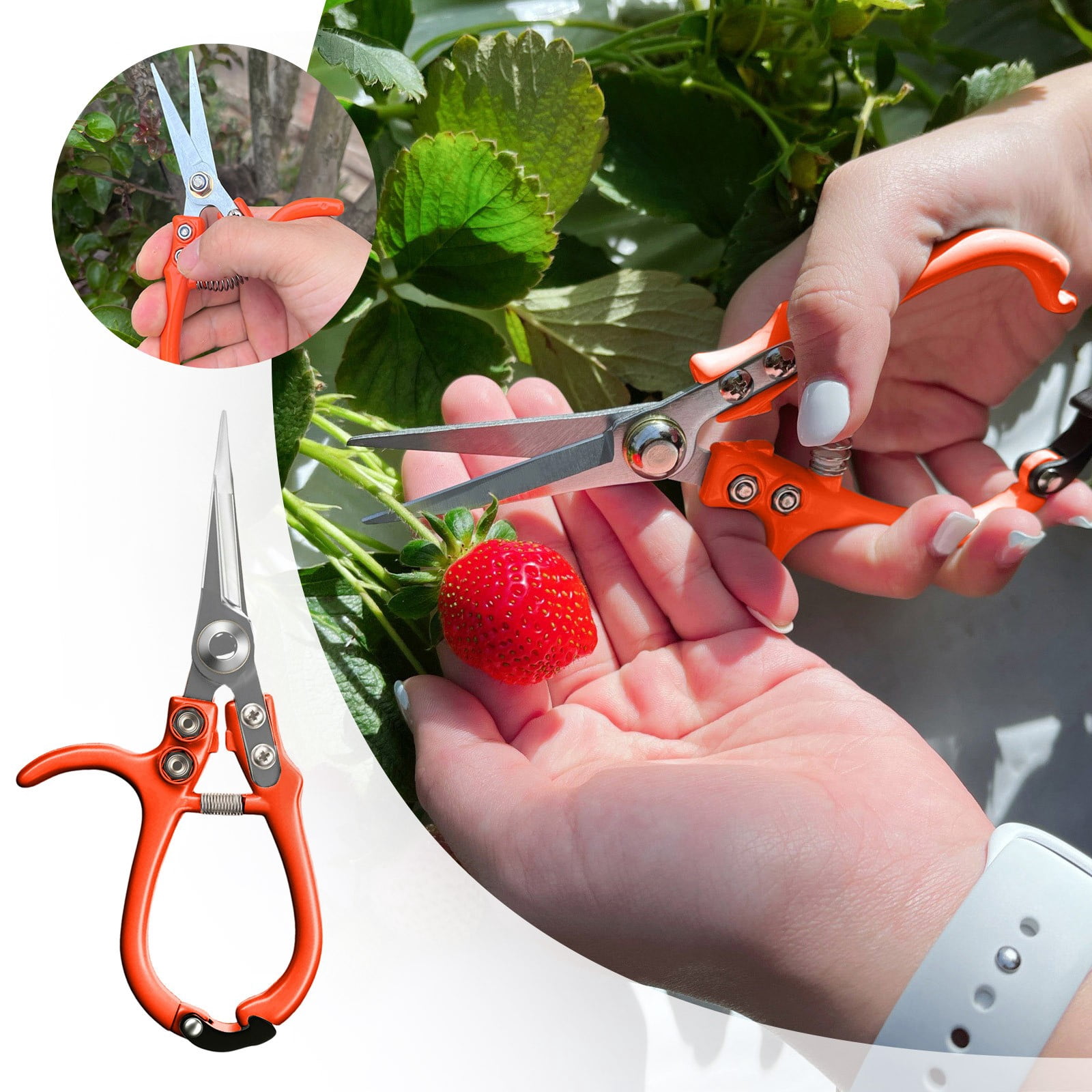 Garden Pruning Shears Precision Manual Trimmer Scissors For Bonsai And Delicate With Ergonomic Handle