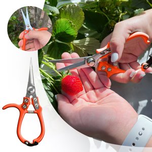 Garden Pruning Shears Precision Manual Trimmer Scissors For Bonsai And Delicate With Ergonomic Handle