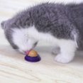 thumbnail image 2 of Natural Mint + Various Trace Elements + Gold Isinglass Cat Candy Solid Licking Energy-Ball Catnip Nutrition (random Flavor), 2 of 7