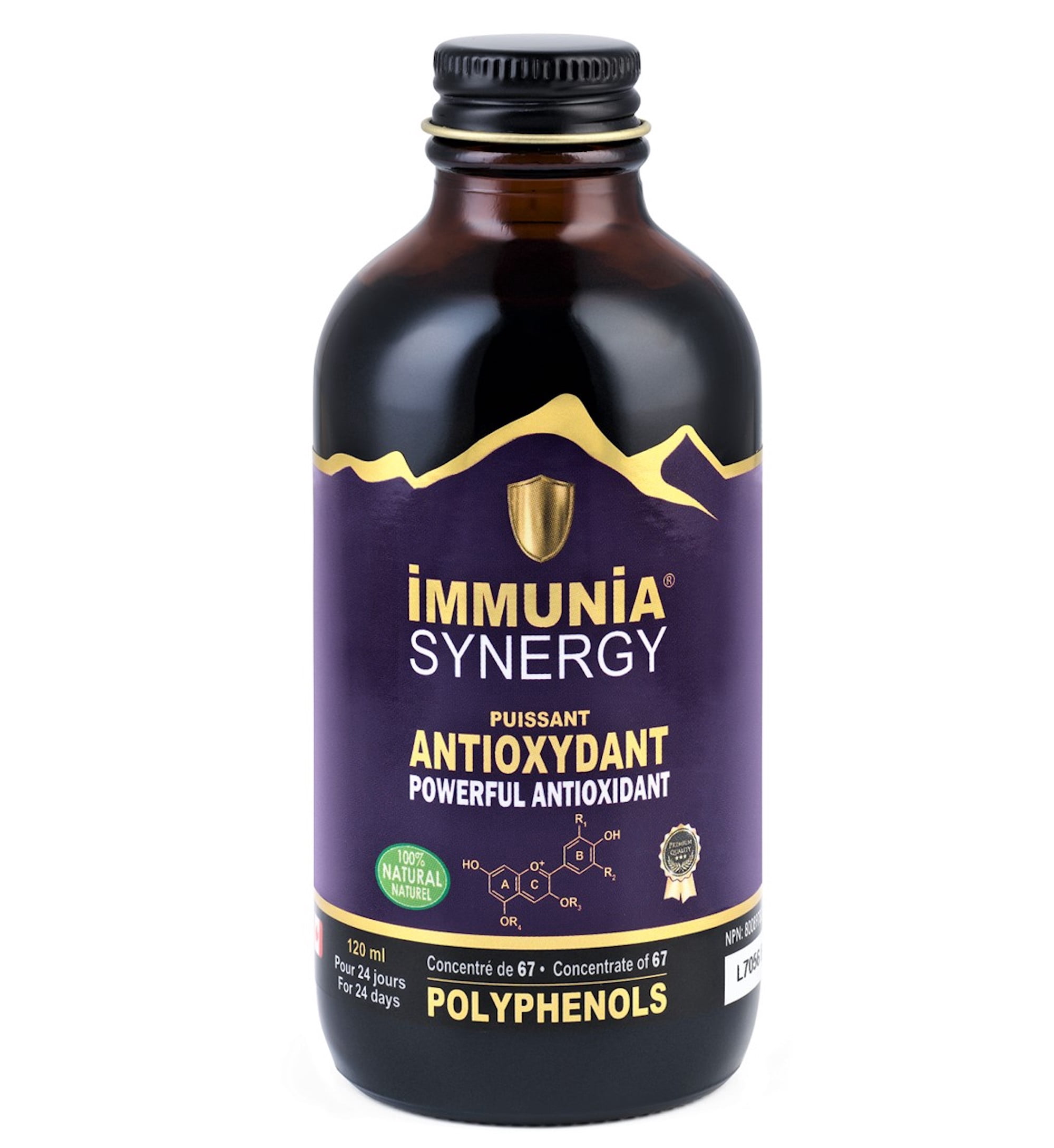 Immunia Synergy – Elderberry Supplement with Antioxidant Fruits