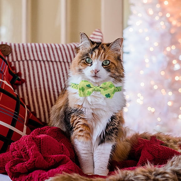 TIMIFIS Plush Collar, Pet Products Irish Festival Bow with Bells Cats Collar Home Decor