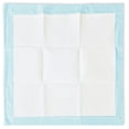 thumbnail image 2 of Great Value Training Pads, XL 75 Pads, 2 of 4
