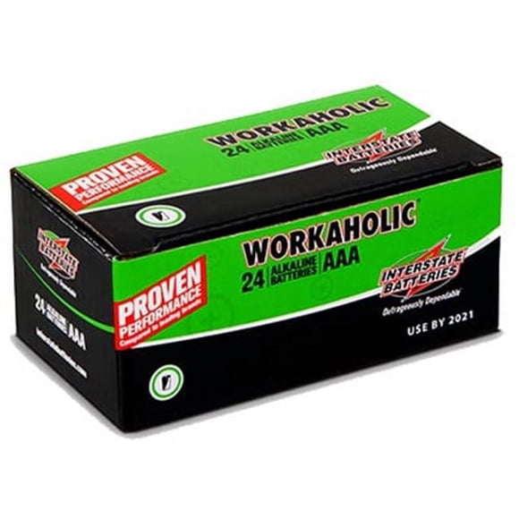 Interstate All Battery DRY0075 AAA Alkaline Battery - Pack - 24