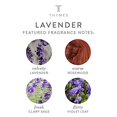 thumbnail image 3 of Thymes Body Lotion - 9.25 Fl Oz - Lavender, 3 of 6