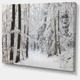 thumbnail image 3 of Designart Forêt d'hiver dense et ruelle Art mural sur toile, 3 of 4
