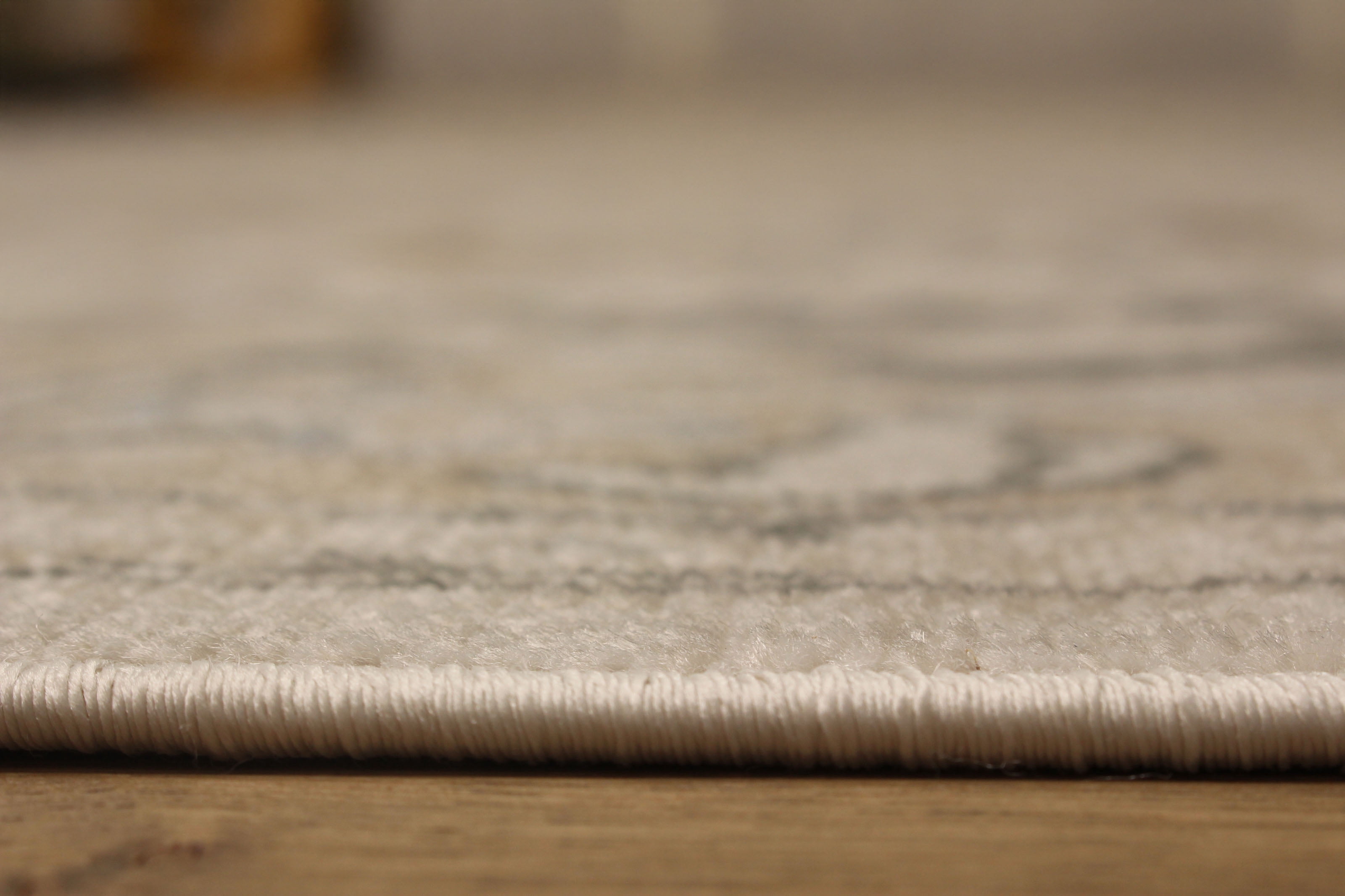 ECARPET Addie Traditional Area Rug for Living Room, Bedroom, Dining Entrance, Hallway and More.