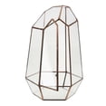thumbnail image 1 of Irregular Glass Geometric Terrarium Box Flower Pot Fern D3.94 x 3.94 x 5.9 inch, 1 of 7