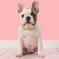 thumbnail image 2 of Dog Necklace, Stainless Steel Pet Dog Collar, High Strength With Polished     Durability For Pets Dogs, 2 of 8