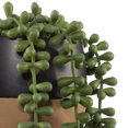 thumbnail image 2 of Bouclair Green Waterfall Plant in Ceramic Pot, 2 of 2