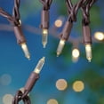 thumbnail image 1 of Mainstays 100-Count Warm White LED Mini Outdoor String Lights, with Brown Wire, 1 of 4