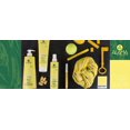 thumbnail image 2 of Alama FREQUENT conditioner VEGAN, 2 of 5