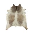 thumbnail image 1 of Natural Kobe Cowhide Rug | 6'x7', 1 of 1